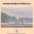 베이프론트 | 쿠안탄 티무르베이 비치프론트 후기 인생 숙소 추천