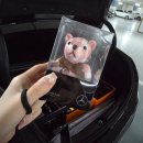 연수자동차서비스 | 벤츠 C클래스 내돈내산 출고후기 벤츠수원전시장 출고하면서 딜러님께 도로연수까지 받은썰 할인정보