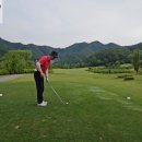 에콜리안 정선골프장 골프연습장 | 에콜리안정선cc 가성비골프장의 끝판왕! 9홀 소개