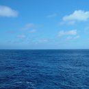 아침의 바다 이미지