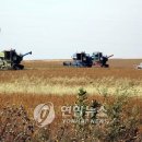 동평농장2농장 이미지