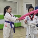 최영석태권도장 이미지