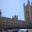 탑 피시 | 런던 자전거 여행 5부: 웨스트민스터 궁전에서 피시 앤 칩스까지