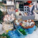 세레나데샵 이미지