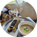 심미식당 | 애견동반 김밥 땡겨서 미사 심미식당 반려견 펫프랜들리