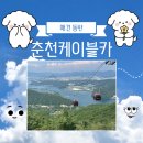 춘천 삼악산 케이블카 애견동반 가능할까? 반려견 전용 캐빈 2대, 아이와 다녀온 후기