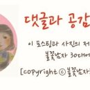 메가엠지씨커피 영남대점 이미지