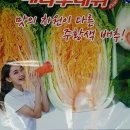 경기농약사 - 천안시 서북구 성환11길 11-8 | 경기농약사