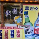 술이 술술 &#39;두리두리치킨&#39; 울산 노포 맛집, 신정동 핫플 추천
