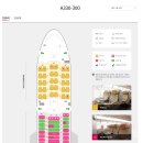745 | OZ745 인천 - 홍콩행 아시아나항공 비즈니스석 기내식 및 좌석 후기