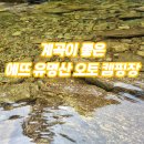 에뜨유명산캠핑장 | 서울 근교 가평 계곡 캠핑장 &#39;에뜨 유명산 오토 캠핑장&#39; 후기 여름 휴가 추천