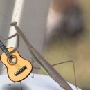 [기초] 통기타 이미지