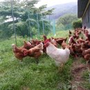 햇빛농장2 이미지