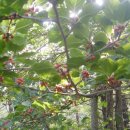 탑동약수터 이미지