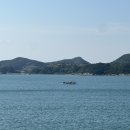 오동도 | 여수 가볼만한곳 오동도 동백열차 시간표 용굴 후기