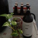 천연샴푸 찾는다면? 두피관리 완전템 오르보닉 그린메이드 약산성 샴푸 추천해요!