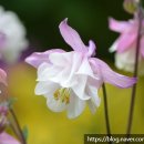 파주한의원 이미지