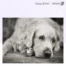 무지개투 이미지