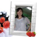 세진2호 Daum카페