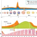 아이봄약국 이미지