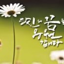 캘리그라피