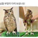 부엉이 PC방 이미지