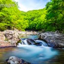 달궁계곡: 지리산의 보석, 수달의 서식지 이미지