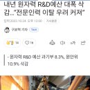 내년 원자력 R&amp;D예산 대폭 삭감 이미지