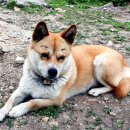 남명삼거리 이미지