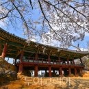 죽서루