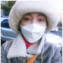호니도니 정자점 | 분당 정자동 먹자골목 돈가스맛집 호니도니정자점 포장 배달도 가능
