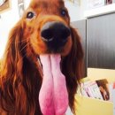 아침의 바다 이미지