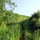 운암농로 이미지