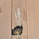 지에스(GS)25 보수중앙점 이미지