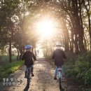 국토종주자전거길1-120 이미지