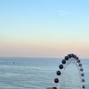 모어댄속초 | 강원도 속초 호텔 추천 모어댄 속초해변점 오션뷰 숙소 숙박 후기