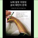 글씨교정(펜글씨)자격대비 | 강남악필교정/손글씨를 다시 설계하는 프리미엄 필기 교정 프로그램
