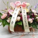 구지 봄약국 네이버블로그