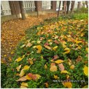 (주)신왕 이미지