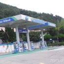 창원 웅천빙고지 Daum카페
