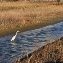 새들모텔 이미지