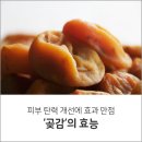 [곶감, 피부 탄력 개선에 효과가 있다] 이미지