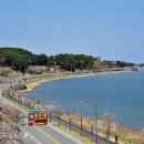 바다 어울림 이미지