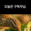 재봉새가 집을 짓는 놀라운 방법 이미지