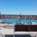 명태덕장 이미지