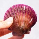 오늘의 바다 이미지