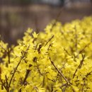 두류공원관리사무소 이미지