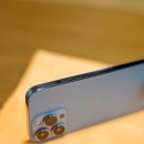 블루테라 이미지