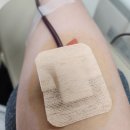 서구-02-49 | 광주유스퀘어 이색 데이트 맛집 헌혈의집터미널센터에서 헌혈 완료!