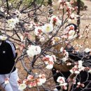 동명대학교 이미지